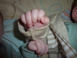 image http://mesjumeauxetmoi.canalblog.com/