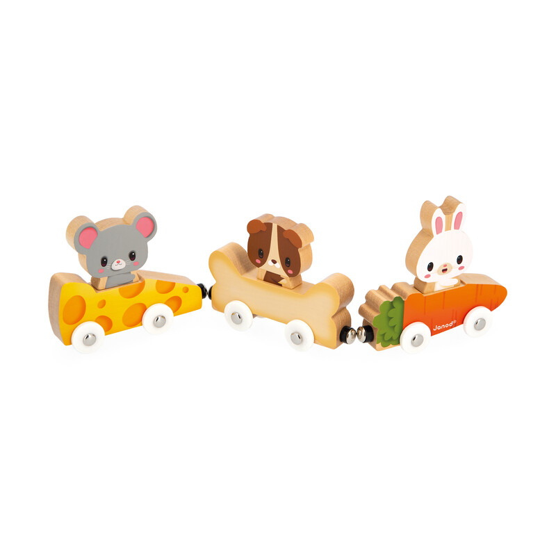 Animaux Familiers Magnetiques Janod zigzag