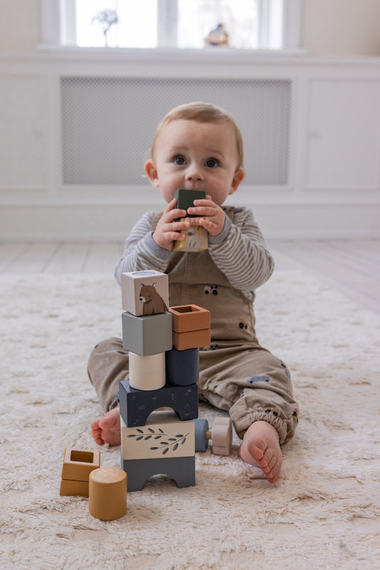 Blocs en bois Le Monde de Sebra lifestyle 3