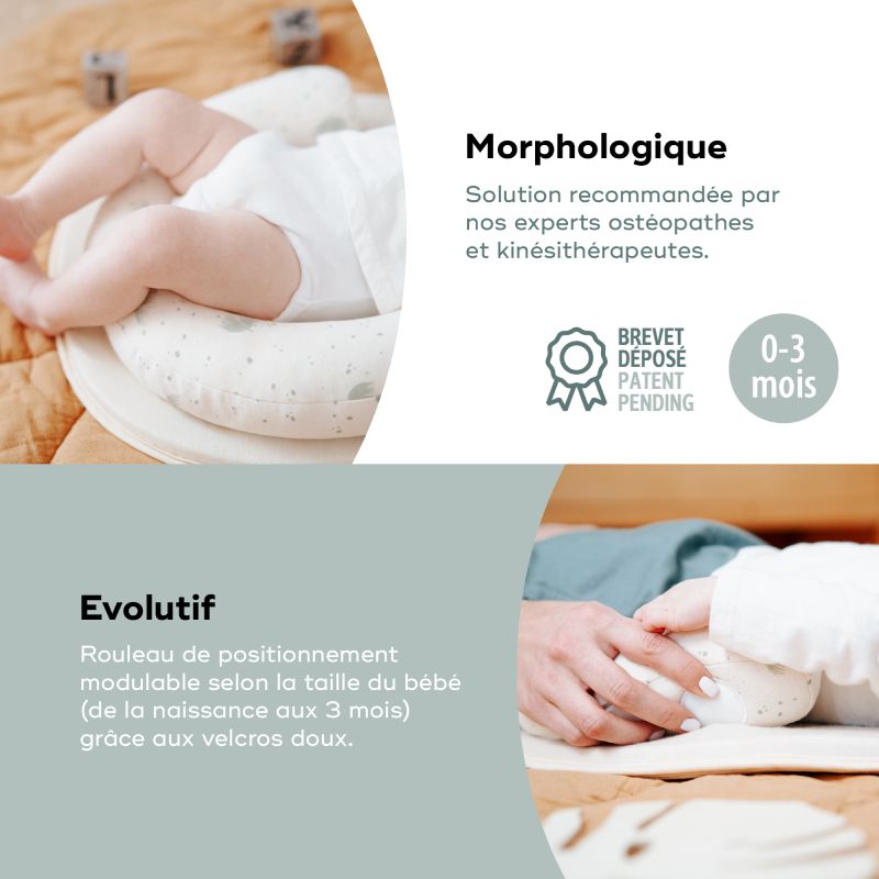 Cale-bébé Cosydream Fresh Ecru Babymoov morphologie