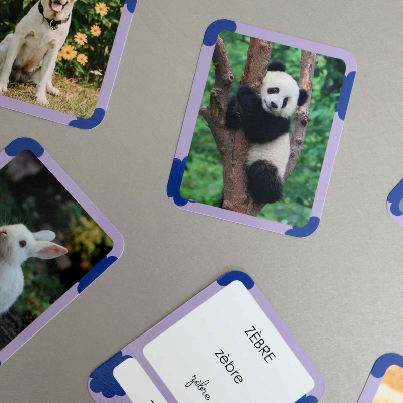Cartes Flash Animaux Observe Édition lifestyle 1