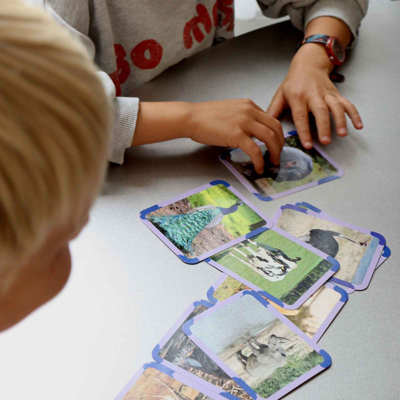 Cartes Flash Animaux Observe Édition lifestyle 4