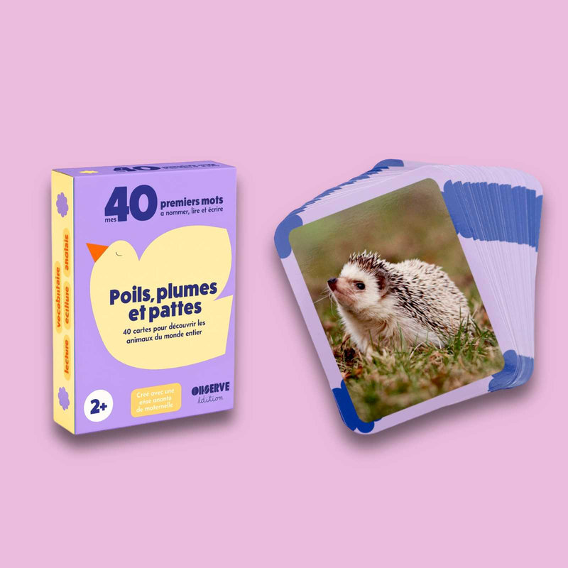 Cartes Flash Animaux Observe Édition produit