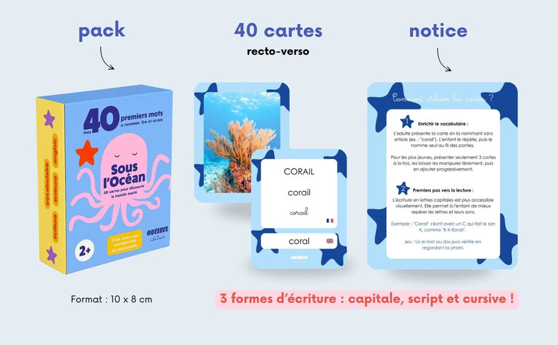 Cartes Flash Mers & Océans Observe Édition contenu