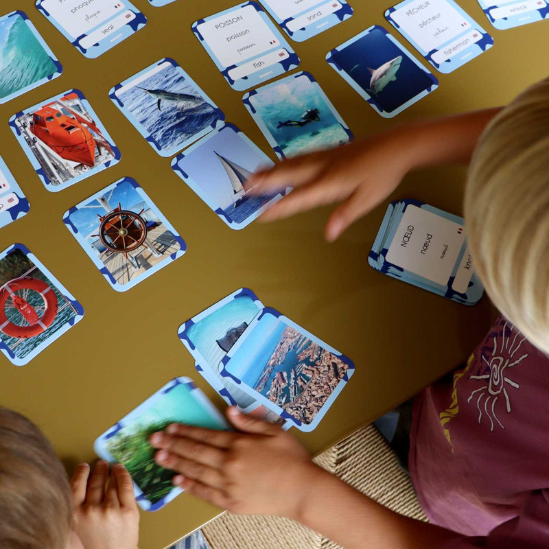 Cartes Flash Mers & Océans Observe Édition lifestyle 1