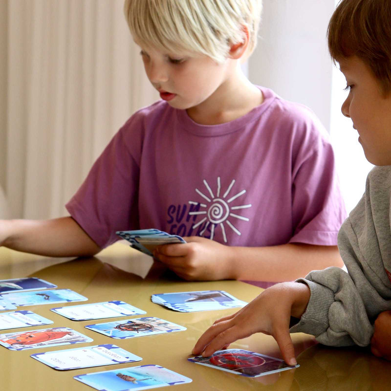 Cartes Flash Mers & Océans Observe Édition lifestyle 3