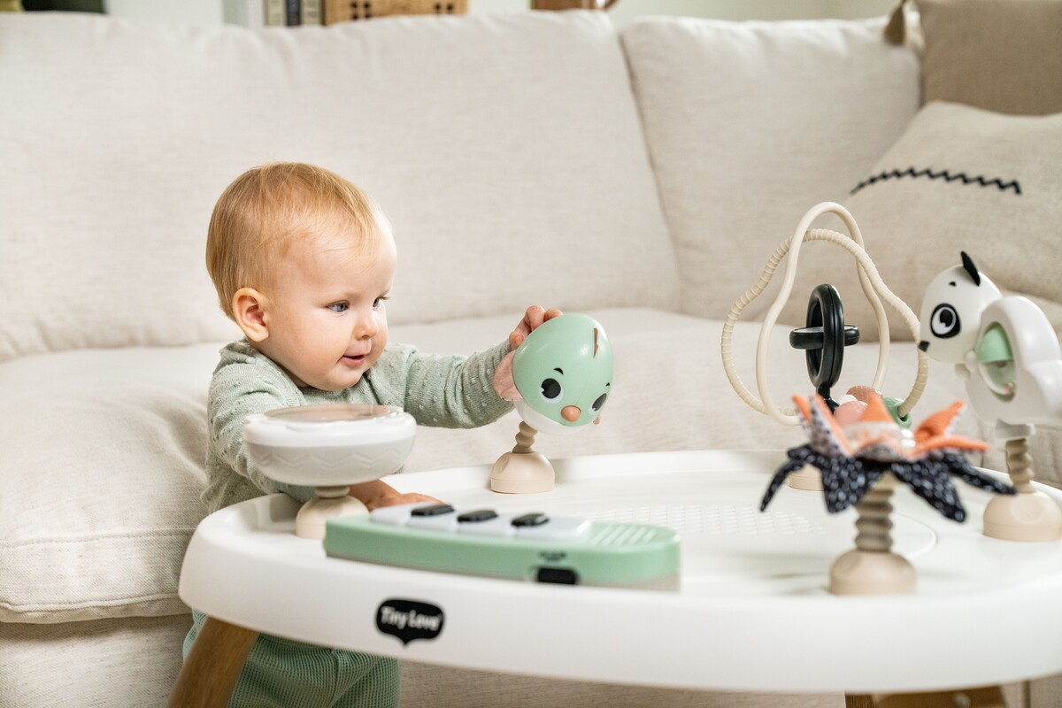 5€ sur Centre d'Activités Bébé Fisher Price - Produits bébés