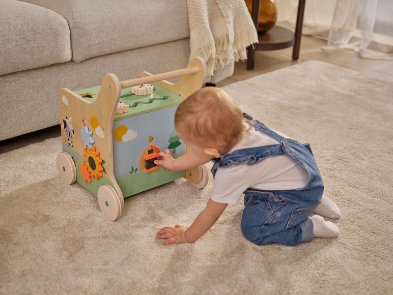 Chariot en bois d'activités Farmers Tiny Love lifestyle 2