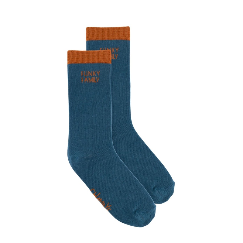 Chaussettes Funky Family Petrol Adulte Chamaye produit