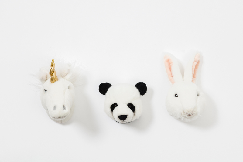 Coffret Mini Trophées Peluches Lovely WILD AND SOFT face
