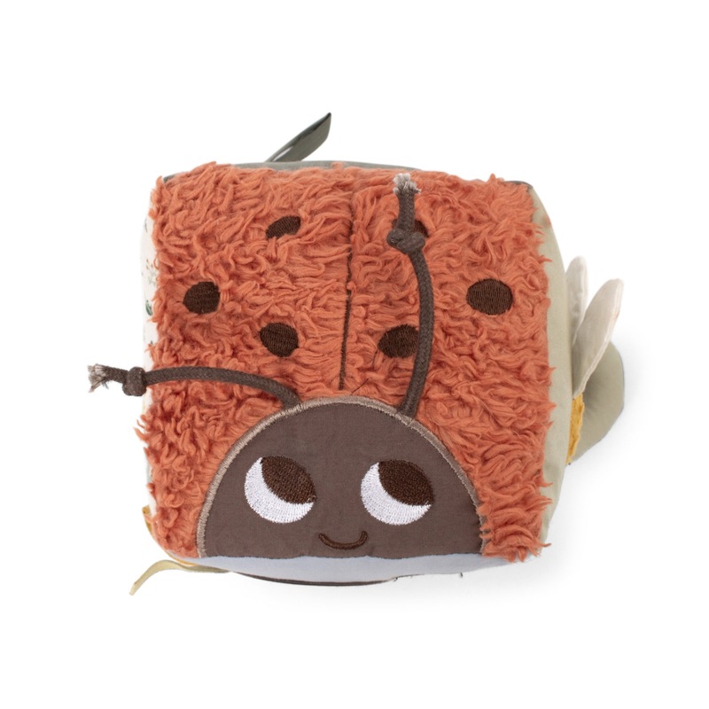 Cube d'activités Little Wonders Filibabba face coccinelle