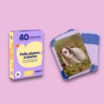 Cartes Flash Animaux Observe Édition produit
