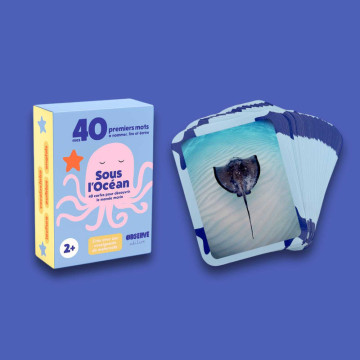 Cartes Flash Mers & Océans Observe Édition produit