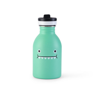 Gourde 250 ml Ricedino Vert Noodoll face