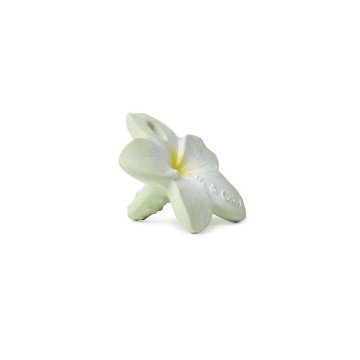 Jouet de dentition Bali La Fleur Oli & Carol produit