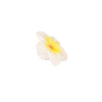 Jouet de dentition Hawaï La Fleur Oli & Carol produit