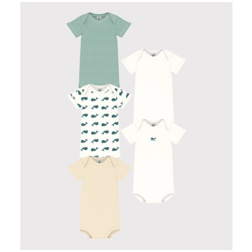 Lot de 5 bodies manches courtes Nature Petit Bateau face