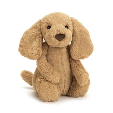 Peluche Chiot Bashful Toffee Puppy Jellycat produit face