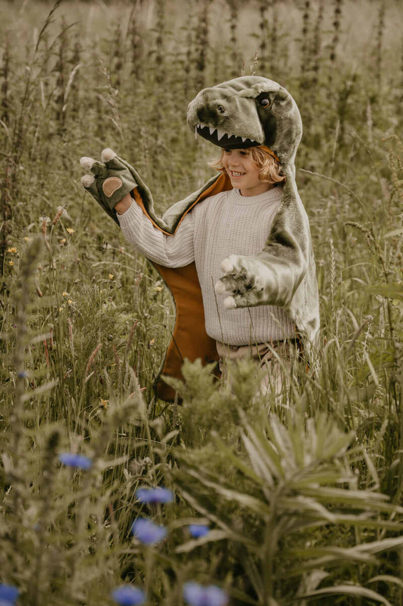 Déguisement pour enfant T-rex WILD AND SOFT lifestyle
