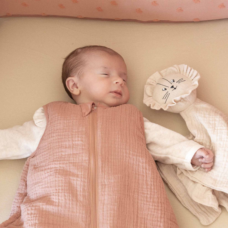 Gigoteuse 0-6 mois Hop Terre de Sienne lifestyle 1