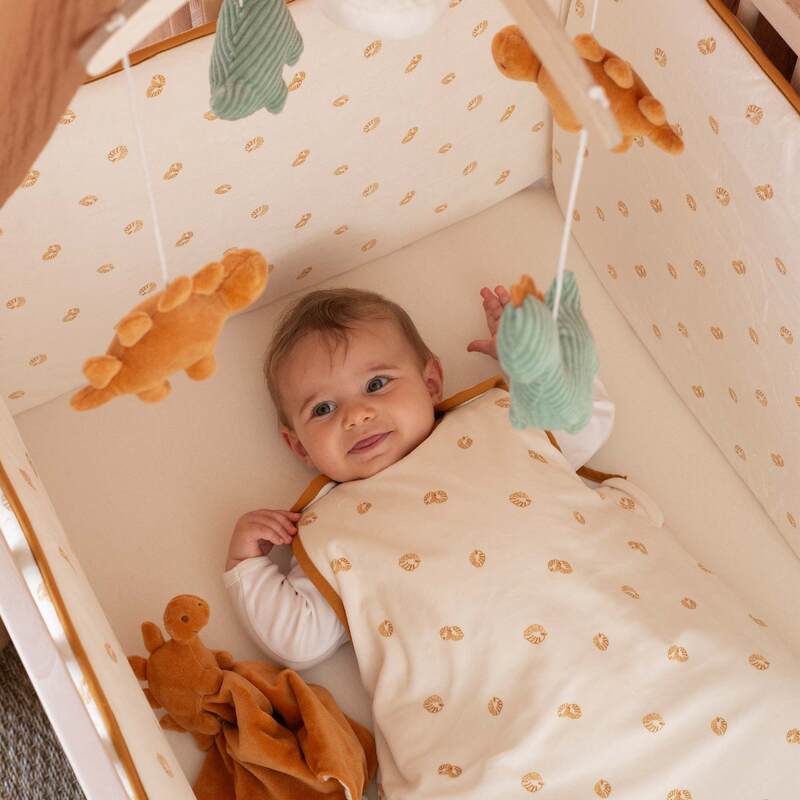 Gigoteuse Reglable 6-24 mois Diplododo Tog 2,5 Dino Feuilles 3kg7 lifestyle