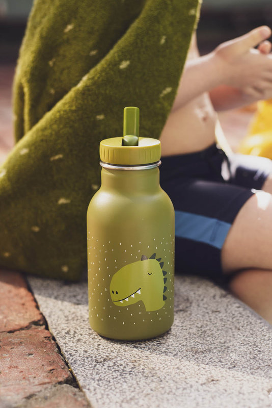 Gourde 350ml Mr. Dino Trixie dos