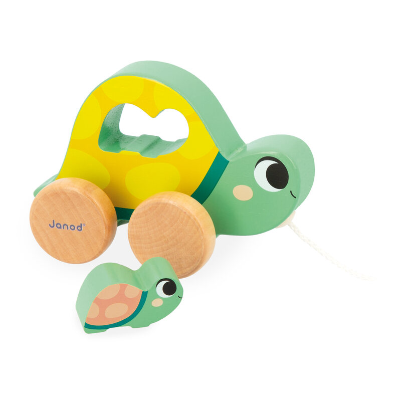 Janod box 18 mois Janod tortue