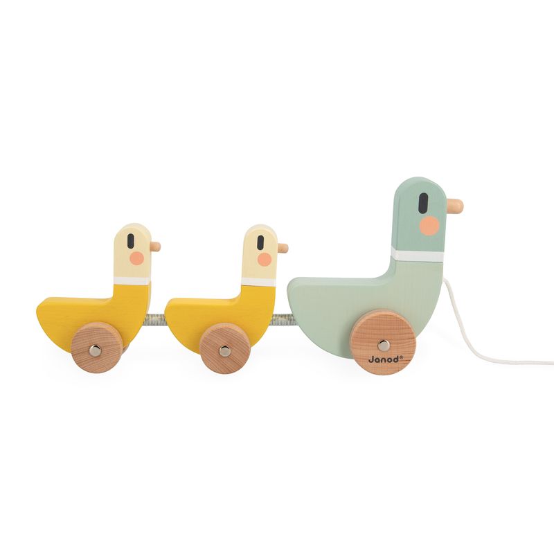Jeu à tirer Canard Janod côté