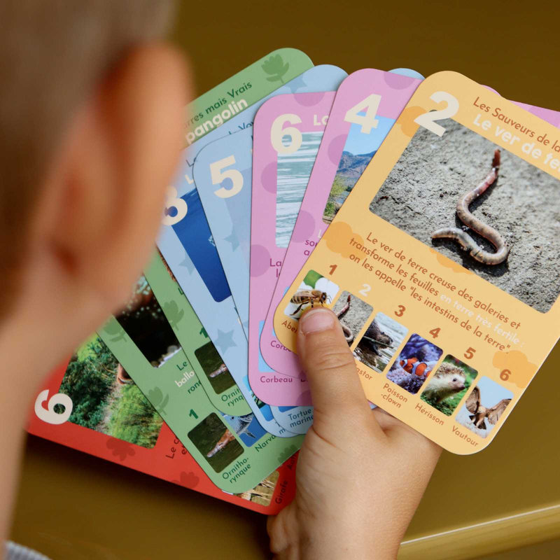 Jeu de 7 familles Animaux Rigolos Observe Édition lifestyle 1