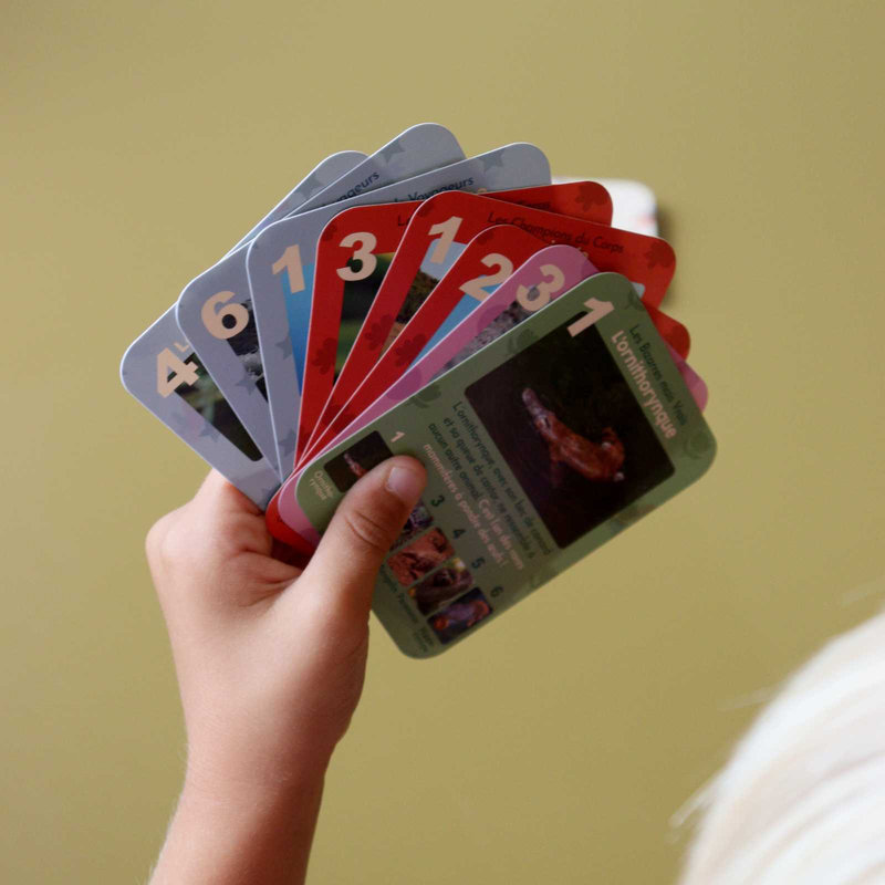 Jeu de 7 familles Animaux Rigolos Observe Édition lifestyle 3