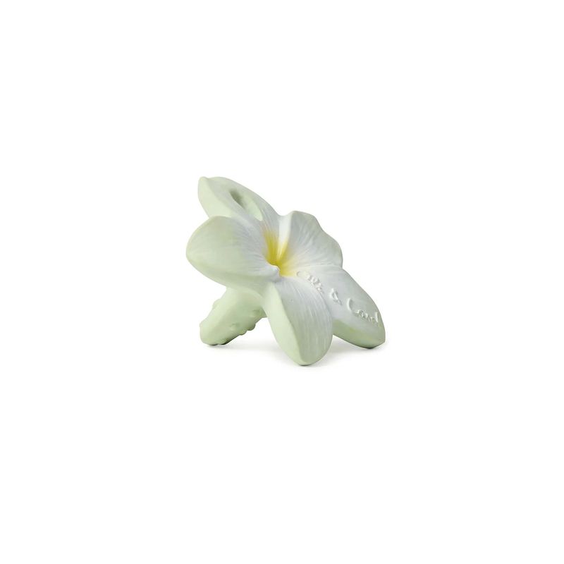 Jouet de dentition Bali La Fleur Oli & Carol produit