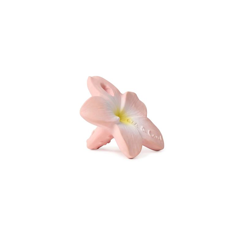 Jouet de dentition Bella La Fleur Oli & Carol produit