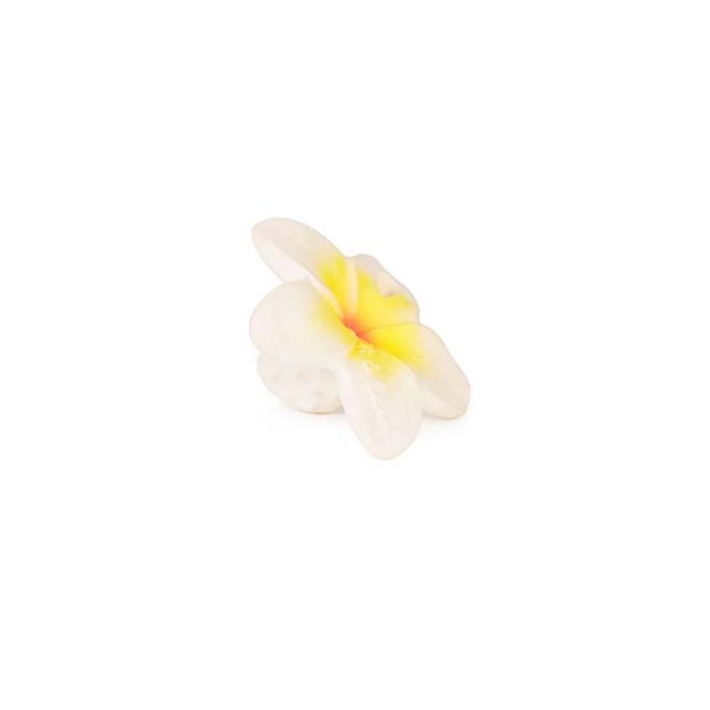 Jouet de dentition Hawaï La Fleur Oli & Carol produit