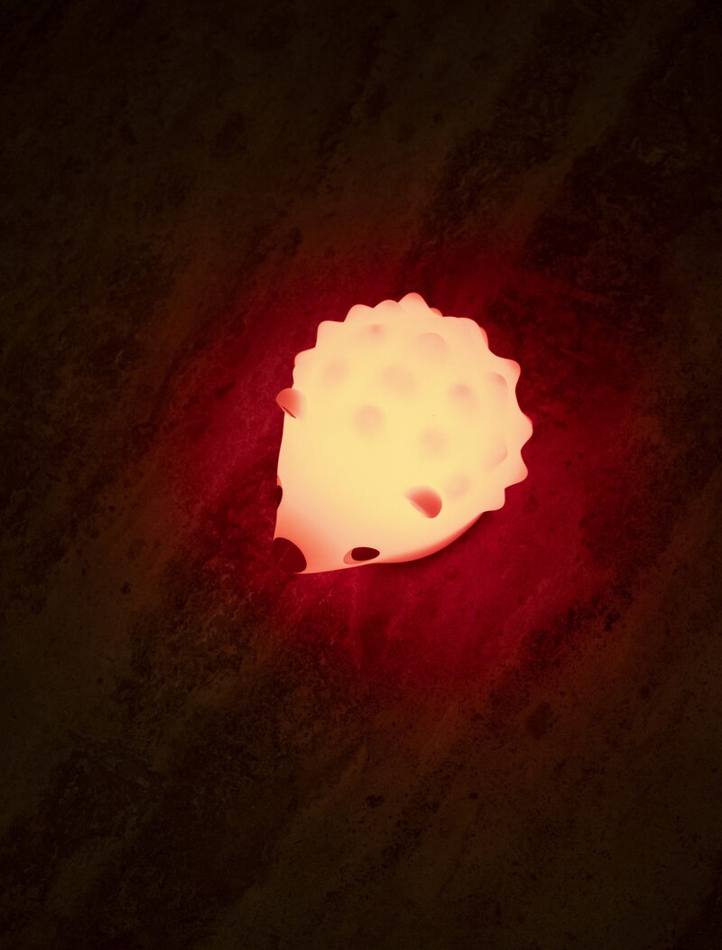 Lampe LED Hérisson Filibabba lifestyle