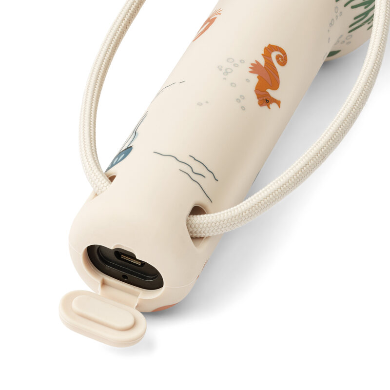 Lampe torche Gry imprimé Liewood usb coloris 1