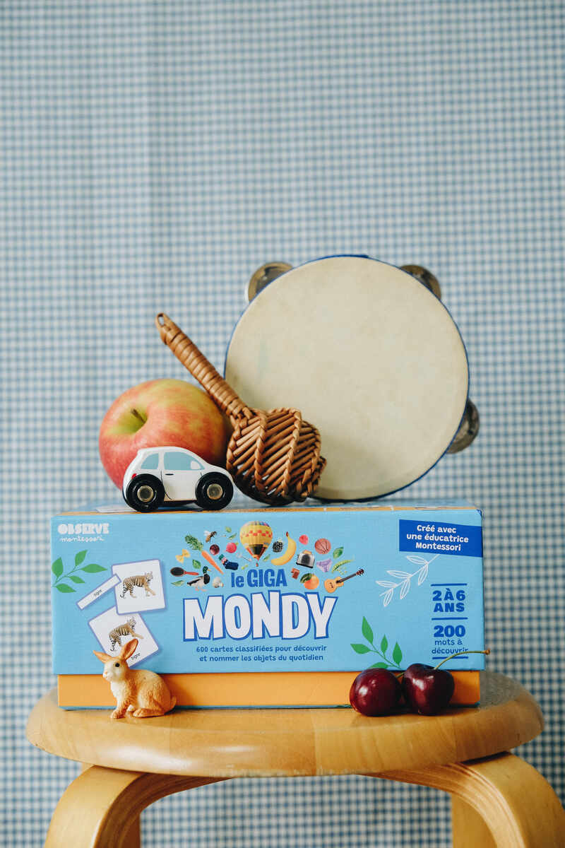 Le Giga Mondy, 600 cartes Montessori Observe Montessori Produit lifestyle