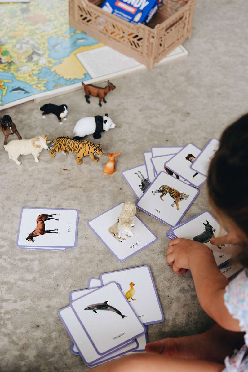 Le Giga Mondy, 600 cartes Montessori Observe Montessori Produit lifestyle2