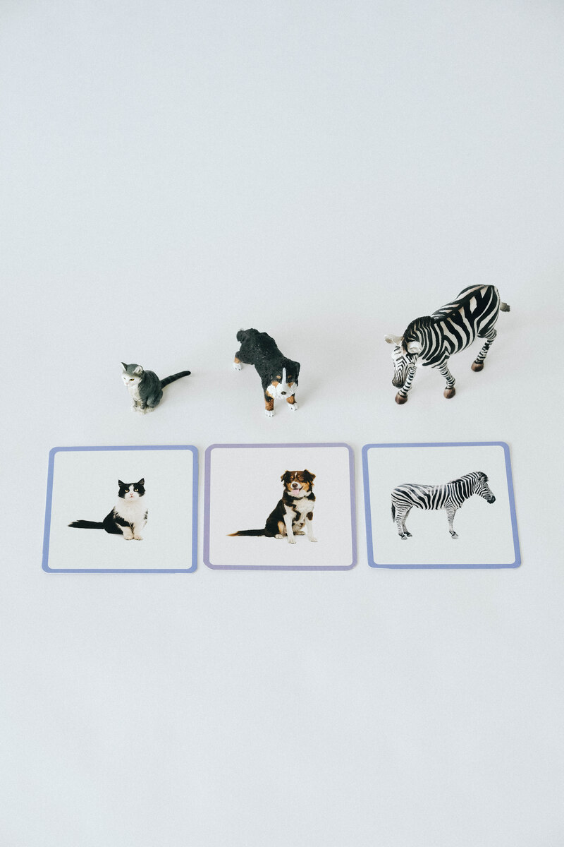Le Mini-Mondy Animaux, jeu de langage Observe Montessori Produit details