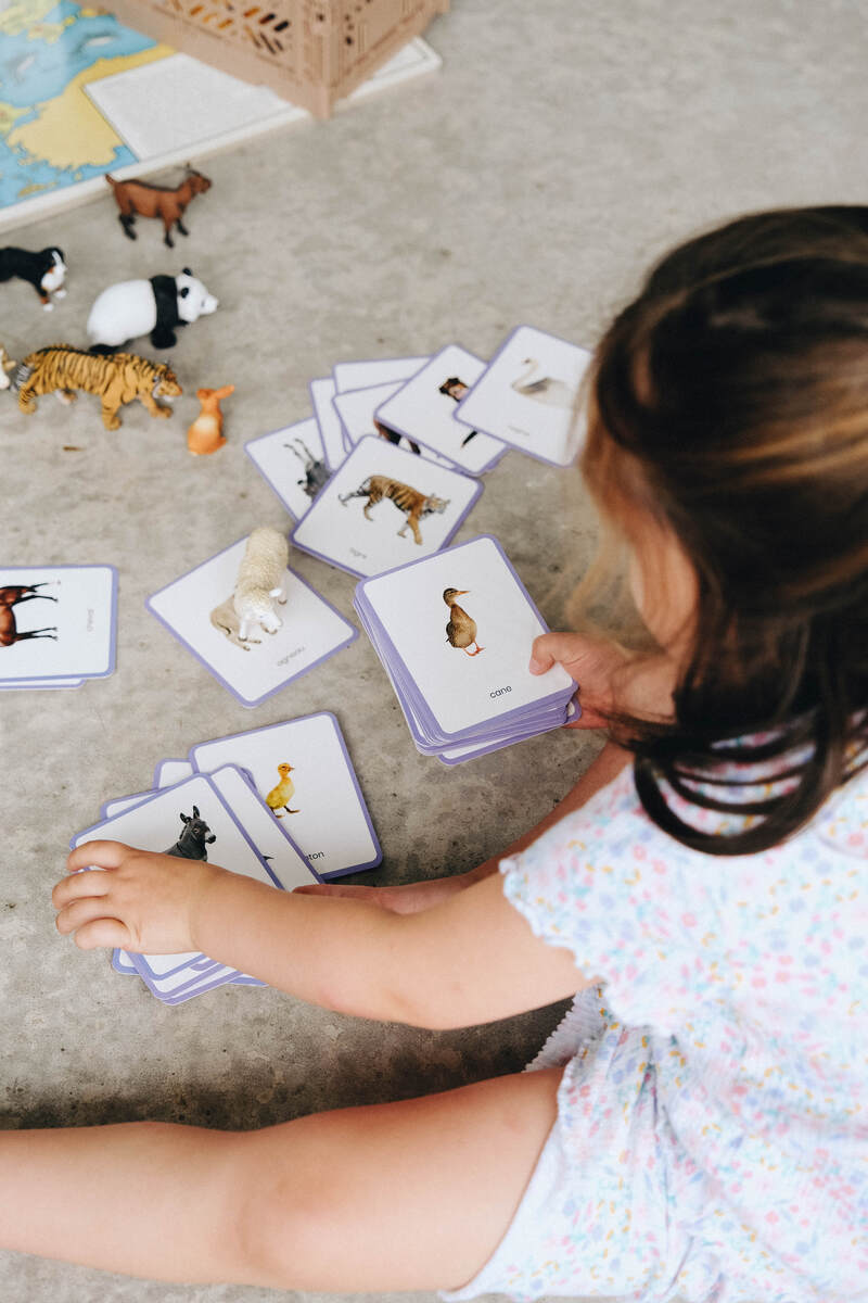 Le Mini-Mondy Animaux, jeu de langage Observe Montessori Produit lifestyle