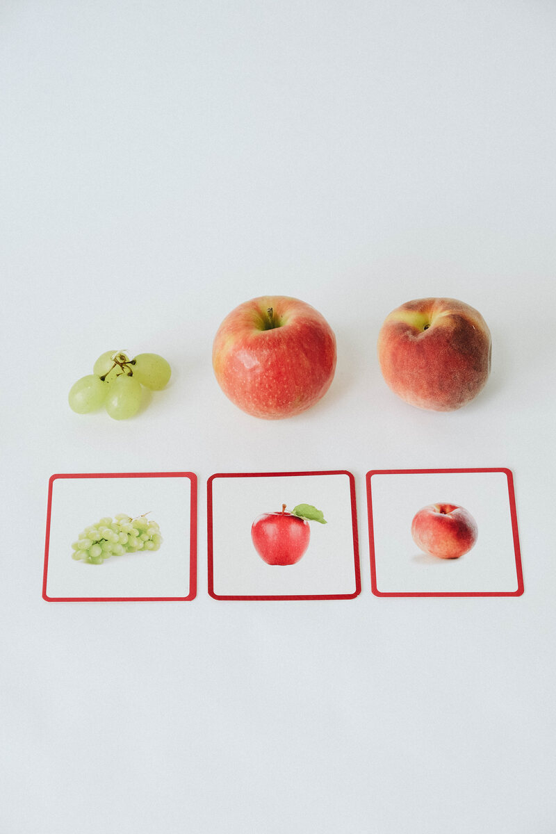 Le Mini-Mondy Fruits & Légumes, jeu de langage Observe Montessori Produit details