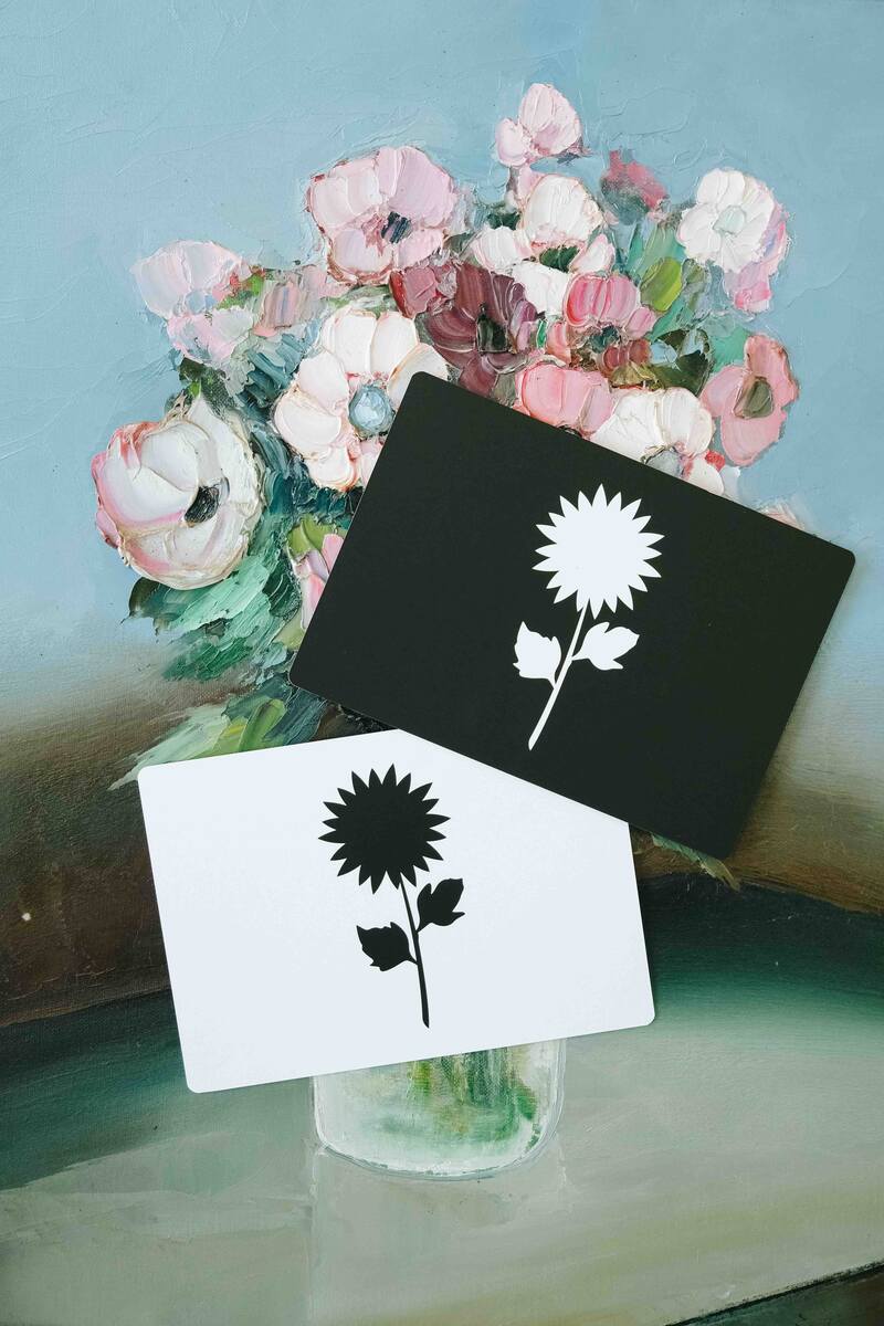 Le Mondy des P'tits artistes : 20 cartes constratées Noir et Blanc Observe Montessori Produit face