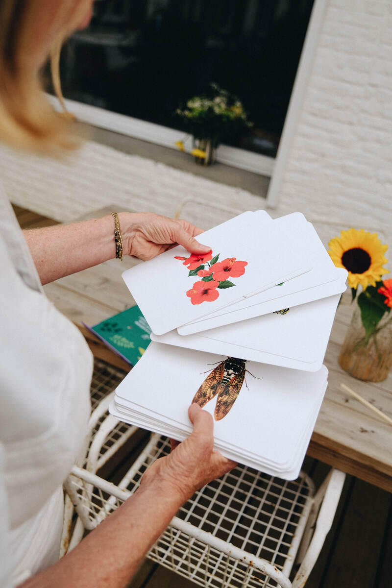 Le Mondy des P'tits Curieux : 45 cartes de langage bilingues sur le thème de la Nature Observe Montessori Produit lifestyle