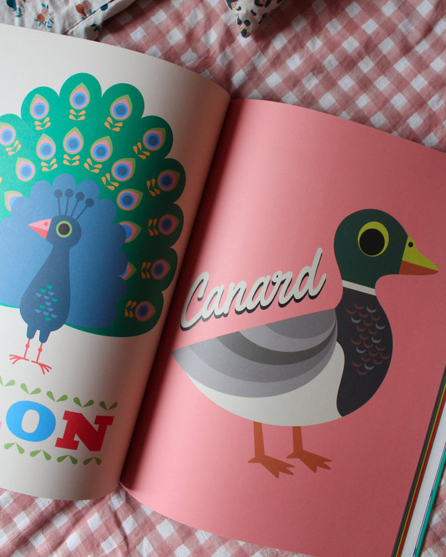 Livre imagier Animaux Edition Collector Pages