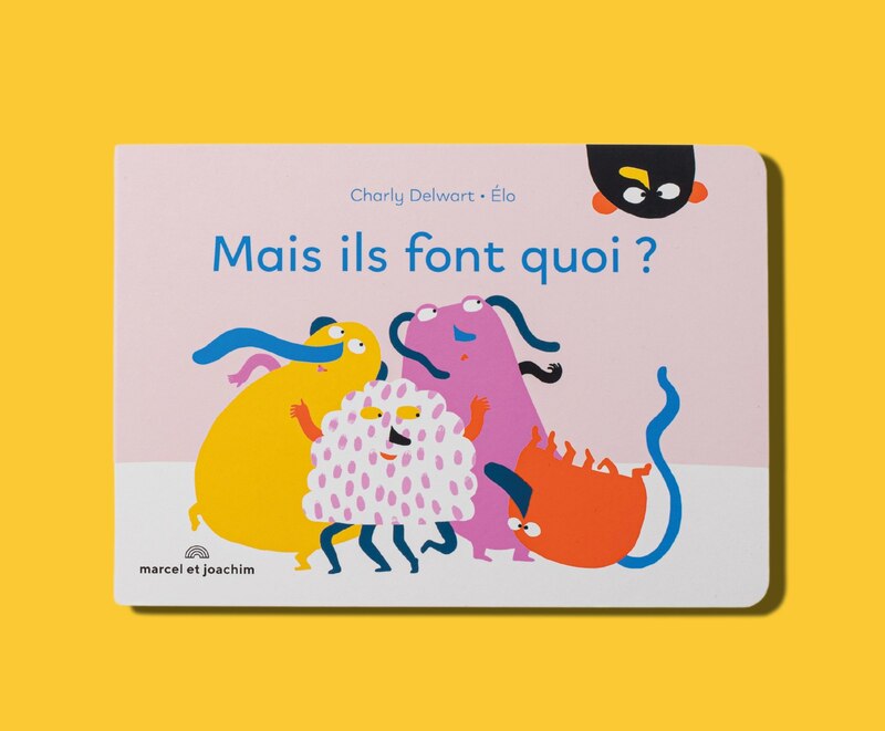 Livre Mais Ils Font Quoi? Marcel et Joachim produit face