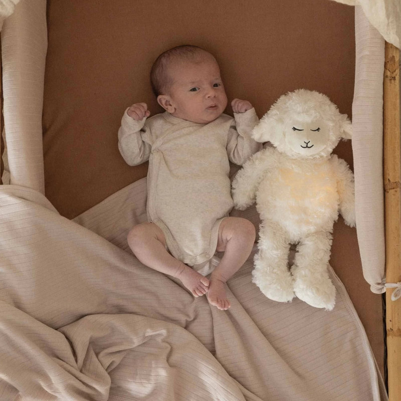 Lot de 2 Body Epis de blés Beige et Vert Olive 3m body beige lifestyle