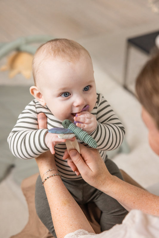 Lot de 3 petits jeux d'éveil Fleur, Cygne, Libellule Sebra lifestyle
