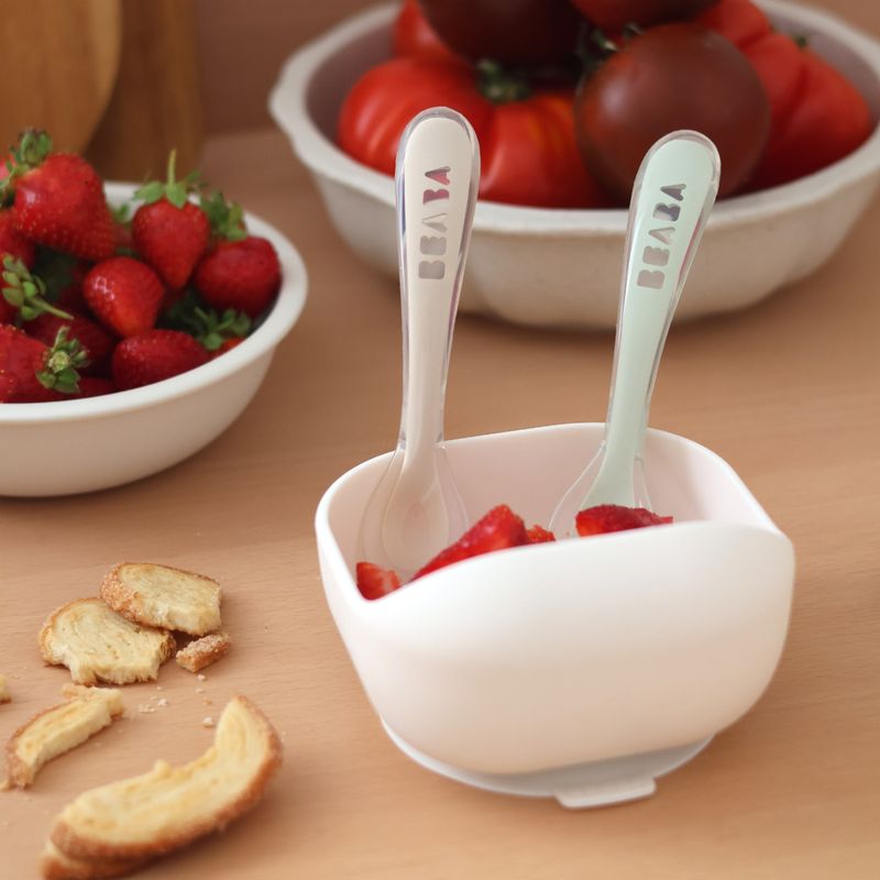 Lot de 2 cuillères silicone 2ème âge avec boite Argile / Vert de gris Beaba lifestyle