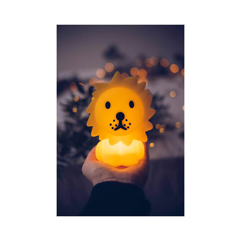 Mini veilleuse Bundle of Light Lion Mr Maria contexte