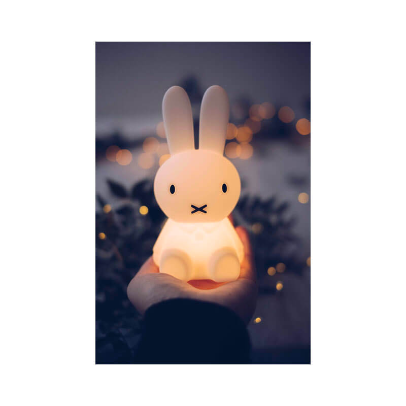 Mini veilleuse Bundle of Light Miffy Mr Maria contexte