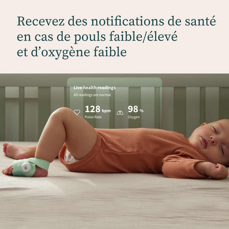 Pack Dream Sock + Cam2 - Bleu Bedtime Owlet informations2